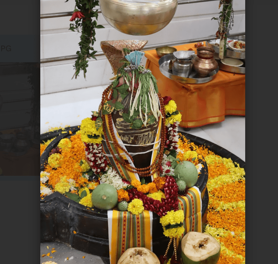 Rudra Abhishek