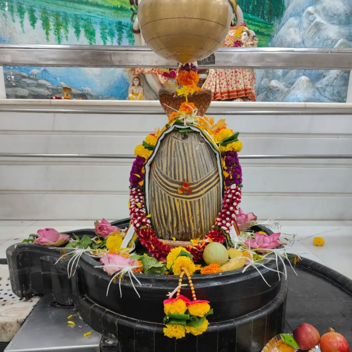 Solah Somvar Vrat Pooja